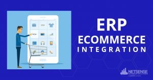 ERP Software for Ecommerce