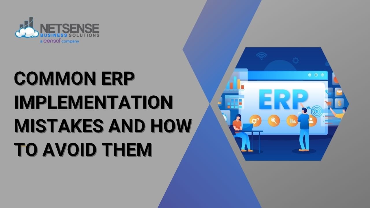 ERP Implementation
