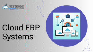 Cloud ERP Systems