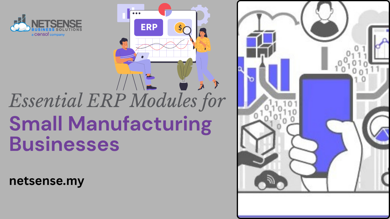 Small Business ERP