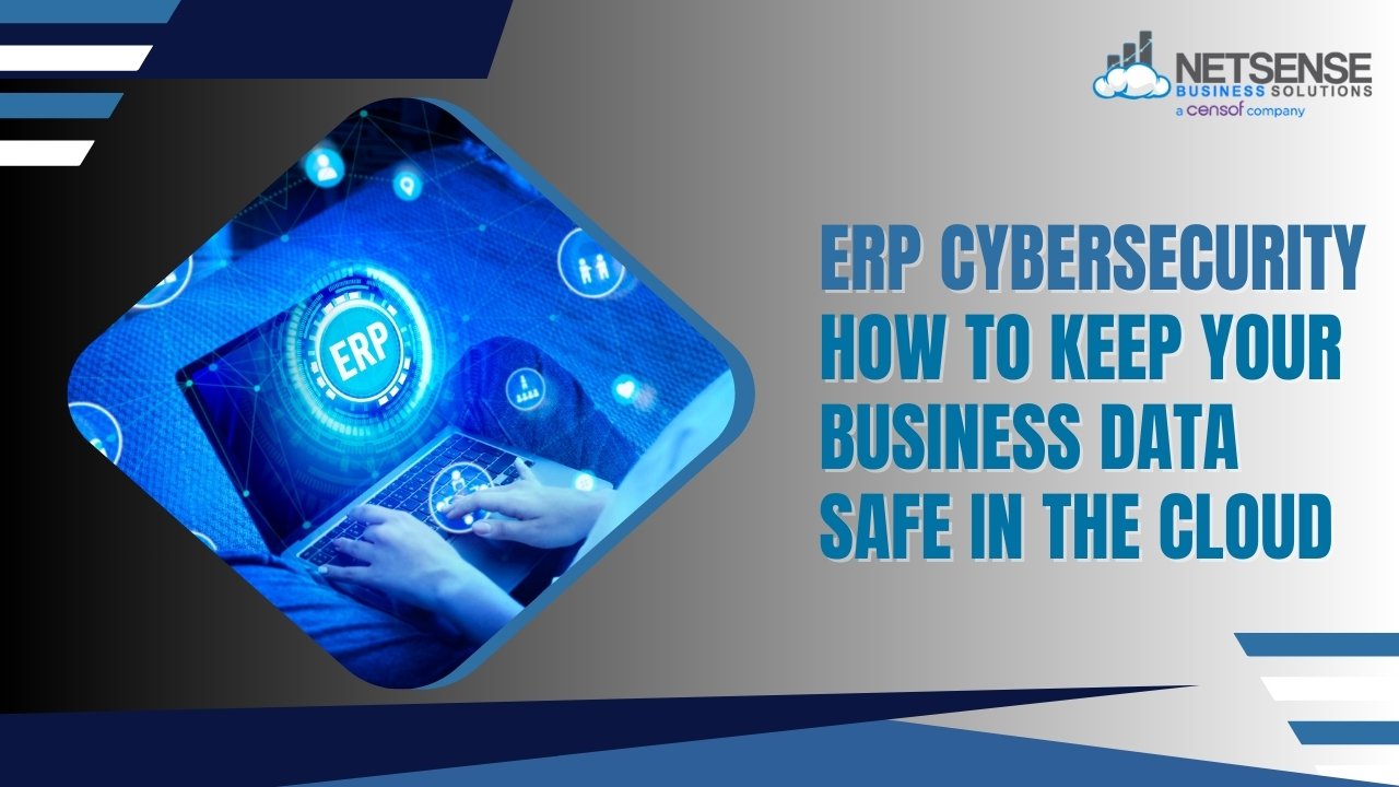 ERP Cybersecurity Systems